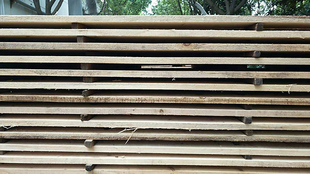 ɼľָ�Ӱ��ѳ����������c