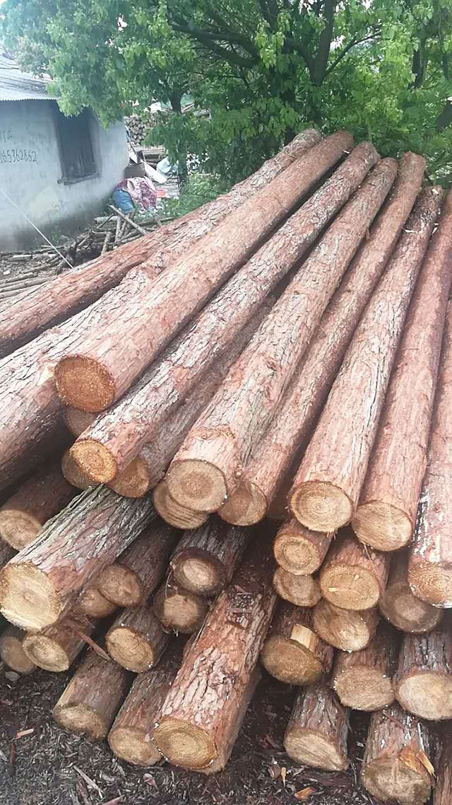 杉木樁做的木工板有什么特性