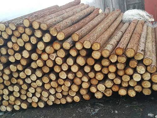 杉木樁在池塘施工中發(fā)揮著關(guān)鍵的作用