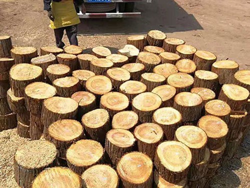 杉木樁在施工方面應(yīng)如何進(jìn)行防腐工作