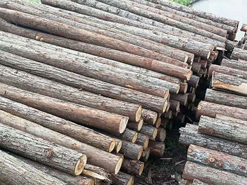 杉木樁應(yīng)該怎么防蟲(chóng)蛀