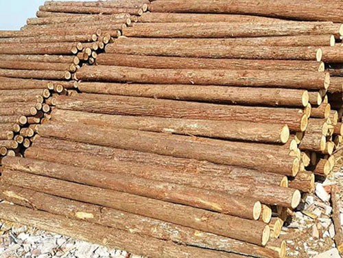 ɼľ�������aƷ�|��Ҫ��