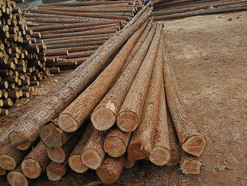 ɼľ��̎�������ػ��m�×l��