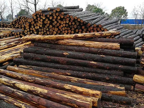 河道護(hù)坡木樁怎么才能保持更加長久的防腐性能呢?