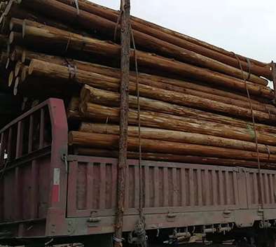 ���B(t��i)ľ���o(h��)����Ŀ����