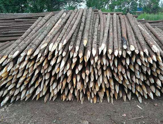 影響杉木樁實際使用的因素 影響杉木樁實際使用的因素