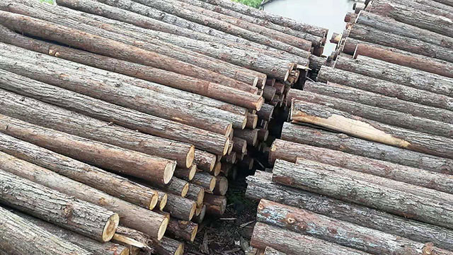 30公分短木樁多少錢一根