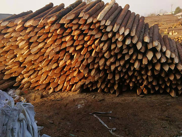 20����ɼľԭľʩ������