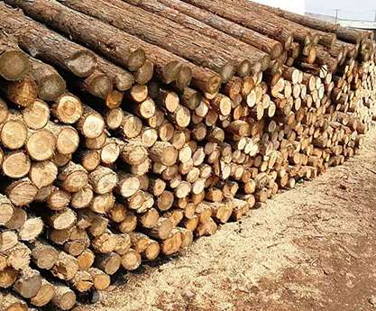 ɼľ���r��^(q��)�e��ԭ�����