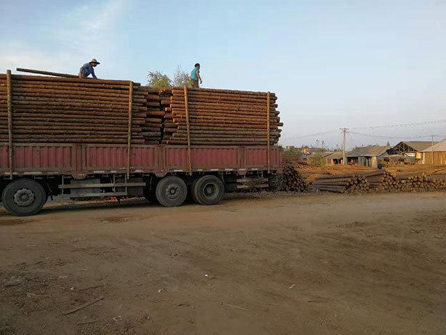 ���B(t��i)ľ��ʹ�������Ƕ��