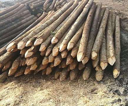 ɼľ�����xُ֪�R�v��