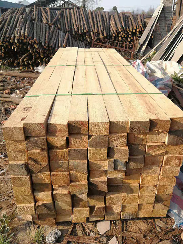 20���־��^ľ�������Xһ��