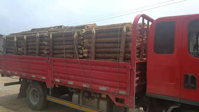 駁岸防汛木樁哪家好