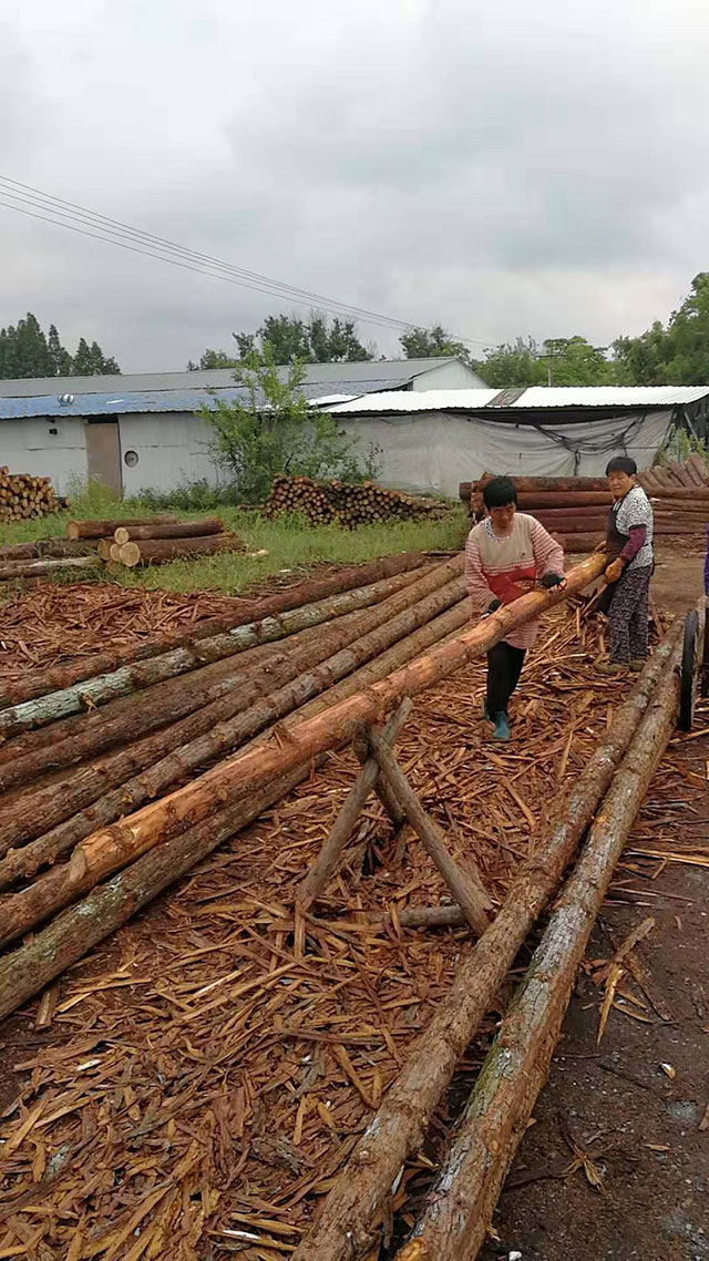 30���ֈAľ����r