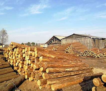 ɼľ���ӵ��g���ϔr����Դ��Ⱦ��ϵ�y(t��ng)����������