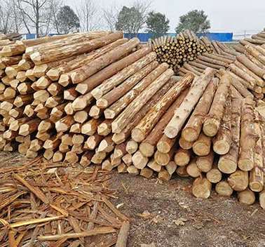 ���Kɼľ������Щ���õķ�����ʩ