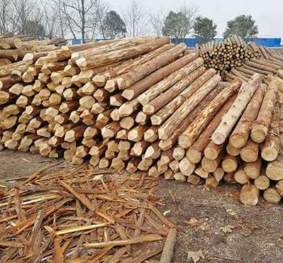 ɼľ�����|(zh��)���l(f��)�����}������