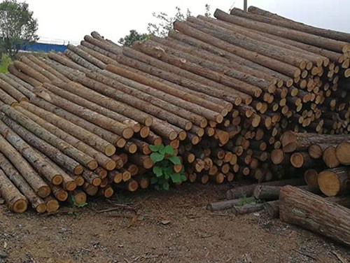 河道護坡木樁使得河道生態(tài)更好