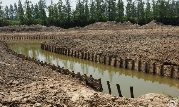 �g���Aľ���S��