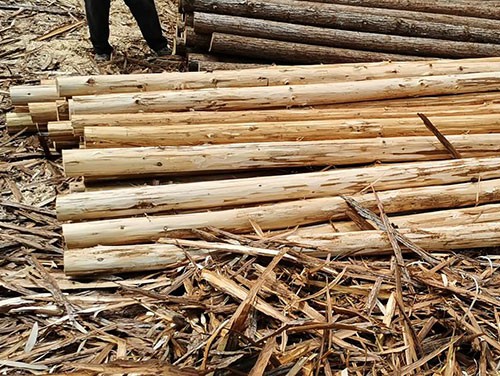 ɼľ���S�ҽ����b��ľ����ô�x��