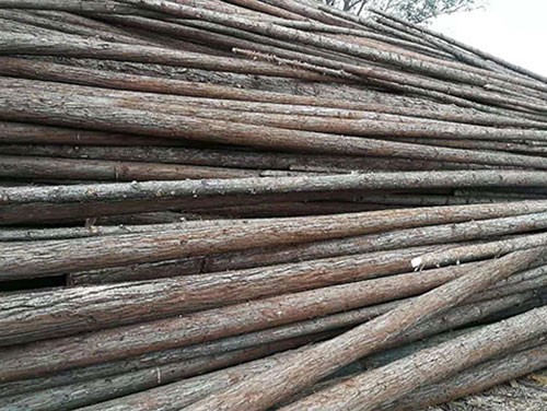 杉木樁的選擇要去注重質(zhì)量