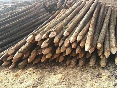 杉木樁打樁效果影響因素有哪些