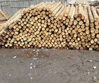 �|(zh��)�����õ�ɼľ�����ʹ�Õ���ô��