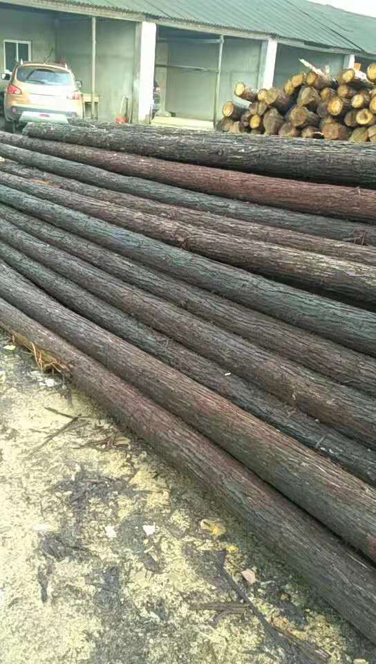 20���ֺӵ��o��ľ���ļҺ�