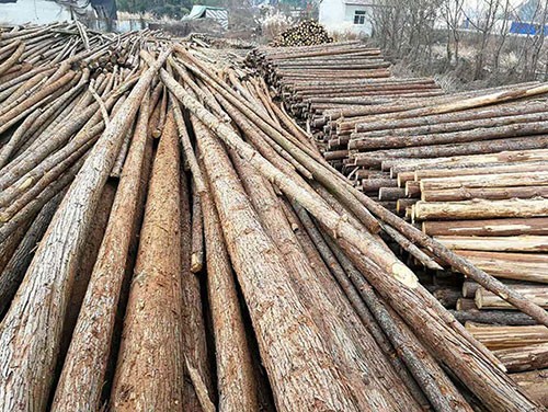 杉木樁的防腐防變色方法