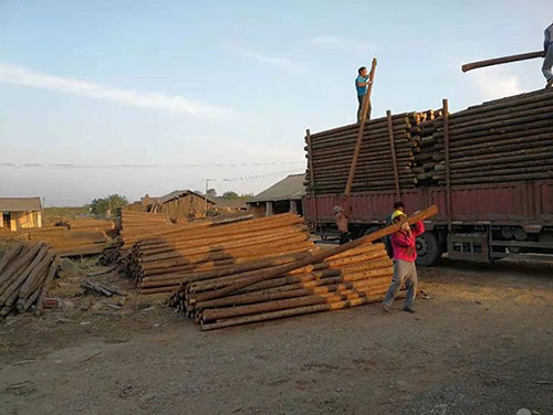 杉木樁利用于加固工程的目的