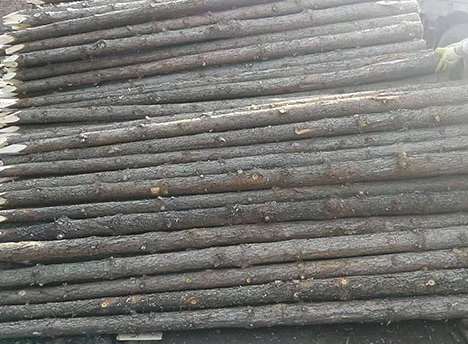 ɼľ���������F(xi��n)ʹ�Æ��}�����]���c