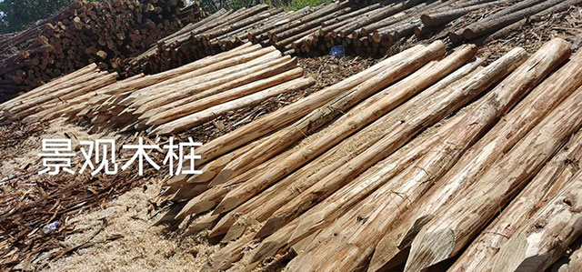 杉木的主要價(jià)值包括了哪些呢