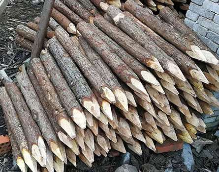 ���ɼľ��ʹ�É�������ʲôԭ��