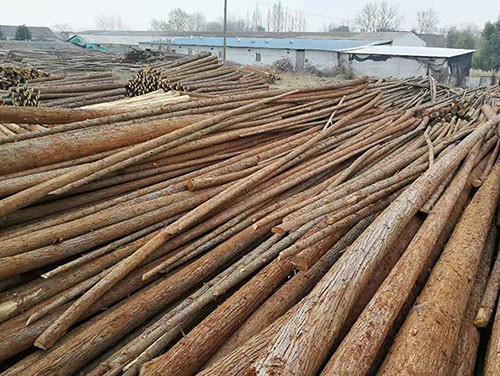 杉木樁在各個(gè)環(huán)境下的使用情況