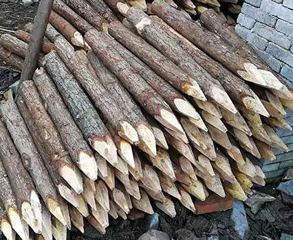 ɼľ���a(ch��n)���_(k��i)������?y��n)�ʲôԭ�?></div>
						 </a>
					 </li>

	 					<li id=