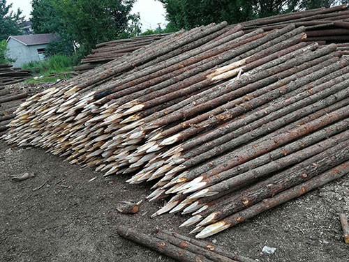 杉木樁廠家分析杉木家具的好處