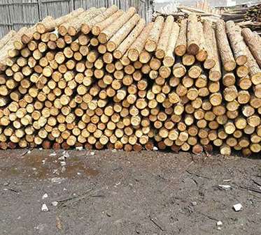 舊建筑杉木樁老化后的化學(xué)變化 舊建筑杉木樁老化后的化學(xué)變化