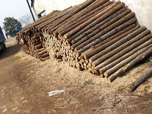 杉木樁的選購準則和要求