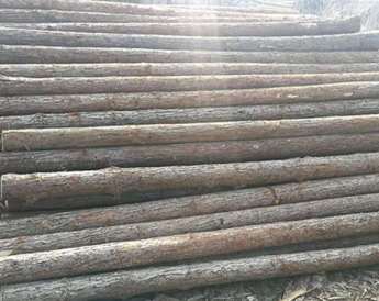 ����Щ����Ӱ�ɼľ���r(ji��)��