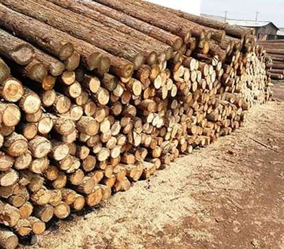 �І��}��ɼľ����(hu��)������Ӱ�