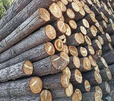 ľ�����B(t��i)�g�������P(gu��n)�f��