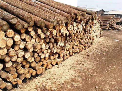 杉木樁投入使用后要把控的事項(xiàng)