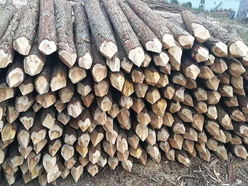 �ӵ��o(h��)��ľ����(du��)�ںӵ��h(hu��n)���ı��o(h��)���ò��ɺ�ҕ