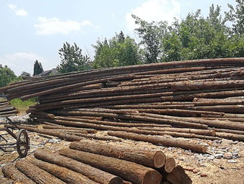 杉木樁的防腐工作一定要做好