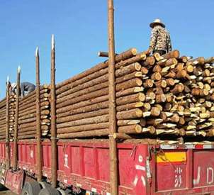 ľ�����B(t��i)�g���đ�(y��ng)���֪