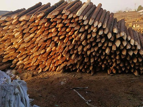 杉木樁的各種使用目的