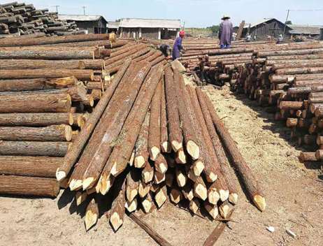 ��ʲôɼľ�������F�p��