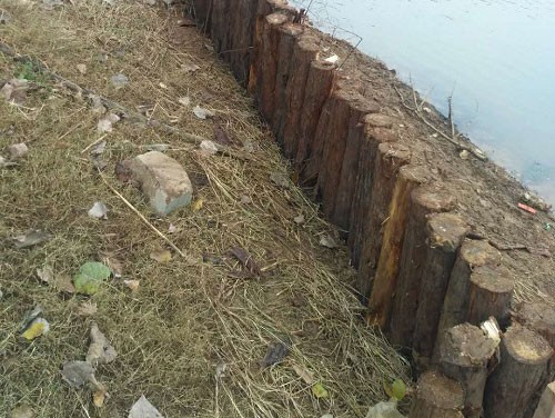 �ӵ��o(h��)��ľ��