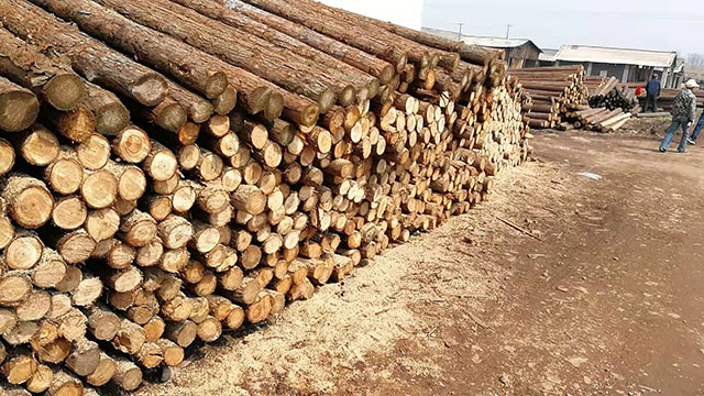 木樁價格 木樁價格