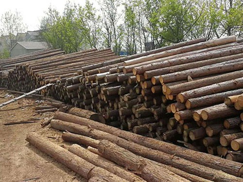 ���B(t��i)ľ��